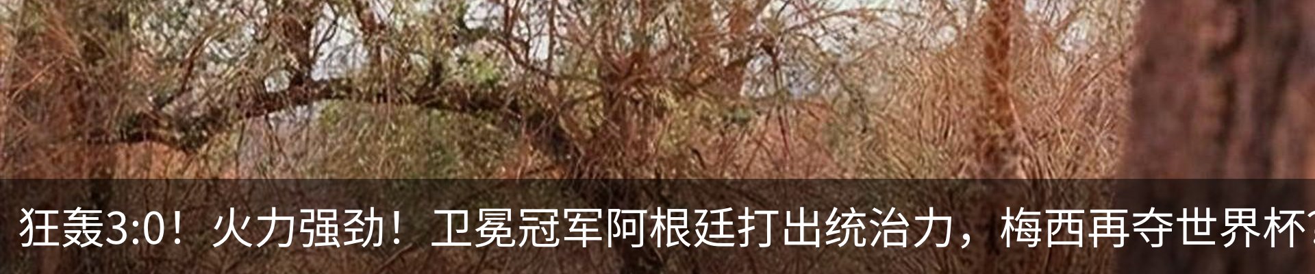 内页banner
